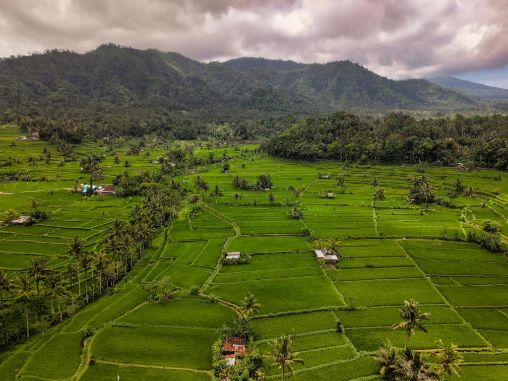 A Review: The St. Regis&nbsp;Bali